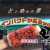 【豊田市・足助町】おばちゃん手作りの“太串し”五平餅が美味いしい「どどめきの里」