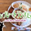 【一宮市・本町】ワンプレートランチが嬉しい「Café Rest Shiratae（しらたえ）」
